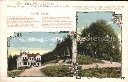 Schmiedeberg Riesengebirge Niederschlesien Forsthaus Buchenbaude Kat. 