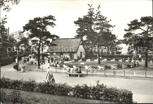 Zinnowitz Ostseebad Usedom Kindersportgarten Kat. Zinnowitz