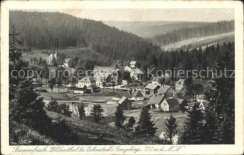 Wildenthal Eibenstock Erzgebirge Gesamtansicht Sommerfrische Kupfertiefdruck Kat. Eibenstock