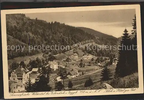 Wildenthal Eibenstock Erzgebirge Sommerfrische Blick vom Hotel zur Post Kat. Eibenstock