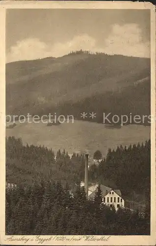 Wildenthal Eibenstock Erzgebirge Blick zum Auersberg Aussichtsturm Unterkunftshaus Kat. Eibenstock