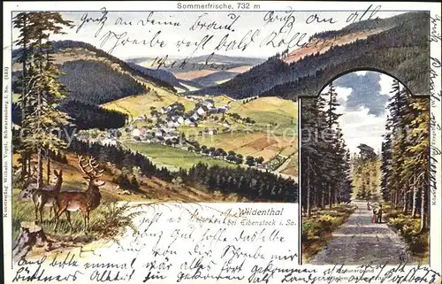 Wildenthal Eibenstock Erzgebirge Panorama Zigeunergrund mit dem Alten Fritz Felsen Kat. Eibenstock