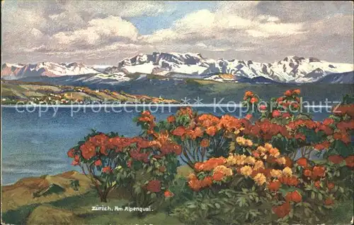 Zuerich Am Alpenquai Blumen Zuerichsee Alpenpanorama Kuenstlerkarte / Zuerich /Bz. Zuerich City