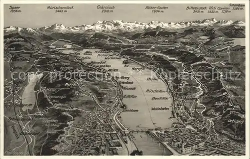 Zuerichsee und Umgebung Alpenpanorama aus der Vogelperspektive / Zuerich /Bz. Zuerich City