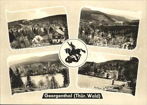Georgenthal Panorama Blick vom Ziegelberg Waldsaeumweg Kurhaus Hammerteich Wappen Kat. Georgenthal