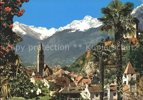 Meran gegen Texelgruppe Kirche Schloss Palmen Kat. Merano