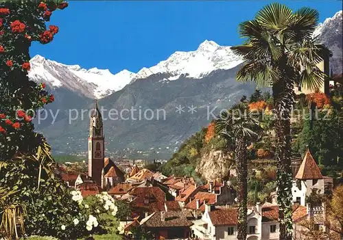 Meran Stadtbild mit Texelgruppe Kat. Merano