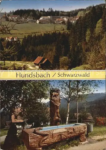 Hundsbach Forbach Gasthaus zur Schoenen Aussicht Brunnen  Kat. Forbach