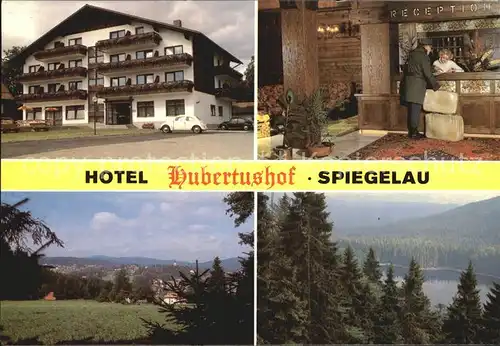 Spiegelau Hotel Hubertushof  Kat. Spiegelau