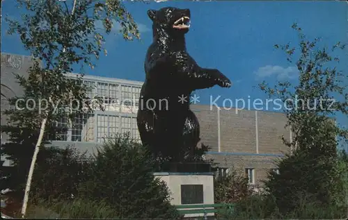 Maine The University of Maine fighting black bear Kat. Maine