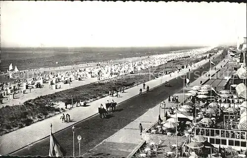 Noordwijk aan Zee  Koningin Wilhelmina Boulevard Kat. Noordwijk