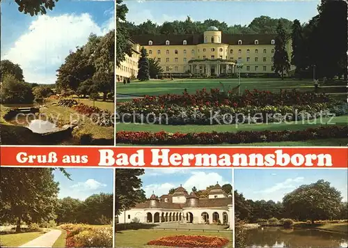 Bad Hermannsborn Kurklinik der Barmer Ersatzkasse Park Teich Kat. Bad Driburg