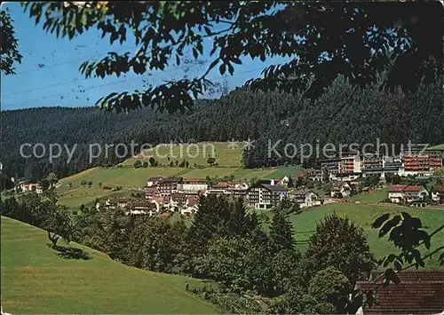 Tonbach Teilansicht Kat. Baiersbronn