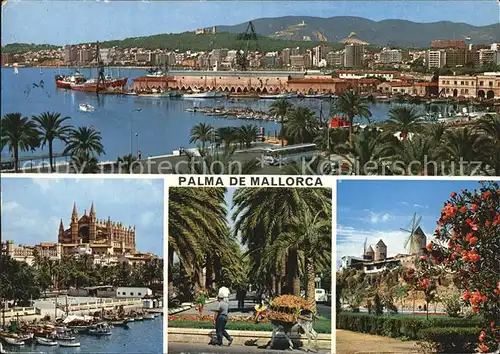 Palma de Mallorca Panorama Hafen Palmenallee Windmuehlen Kat. Palma de Mallorca