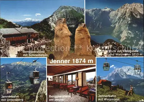 Jenner Berchtesgaden Koenigssee Watzmann Restaurant Schneibenstein Jennerbahn mit Untersberg Kat. Berchtesgaden