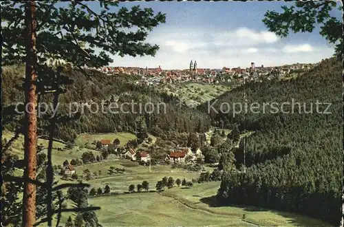 Freudenstadt Panorama Kat. Freudenstadt