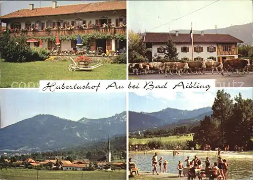 Au Bad Aibling Gaestehaus Hubertushof Alpenblick Freibad Kat. Bad Feilnbach