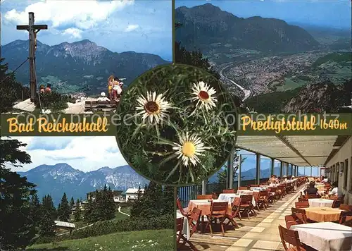 Bad Reichenhall Gipfelkreuz Predigtstuhl Bergrestaurant Disteln Fernblick Kat. Bad Reichenhall
