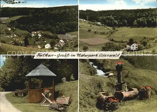 Falkengesaess Odenwald Naturpark Odenwald Gasthaus Pension Zum Schlawitzer Brunnentrog Kat. Rothenberg