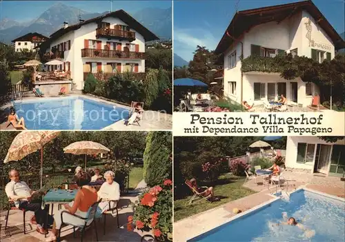 Dorf Tirol Pension Tallnerhof Kat. Tirolo