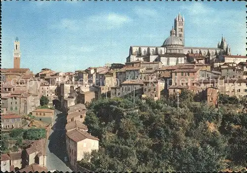 Siena Panorama San Domenico Kat. Siena