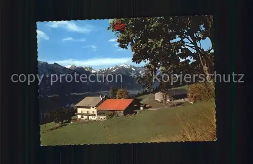 Tulfes Tirol Alpengasthof und Pension Windegg Kat. Tulfes