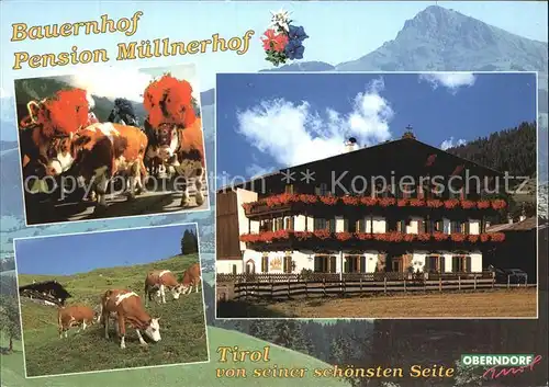 Oberndorf Tirol Bauernhof Muellnerhof Kat. Oberndorf in Tirol