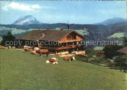 Wildschoenau Tirol Jausestation Oberhausberg
