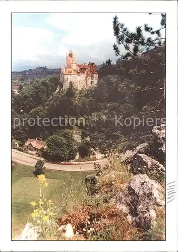 Bran Toerzburg Bran Castle Western view