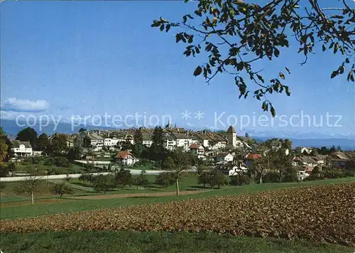 Avenches Panorama Kat. Avenches