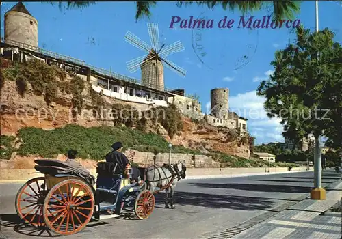 Palma de Mallorca Paseo Maritimo Molinos del Jonquet Kat. Palma de Mallorca