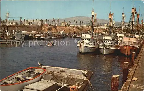 San Pedro California Fishing Fleet at Dock Kat. San Pedro