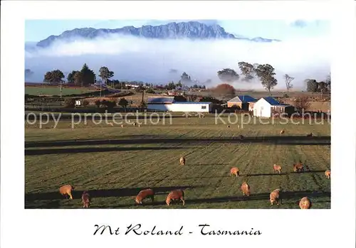 Tasmania Mt Roland rises above green pastures near Sheffield