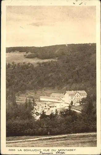 Col de la Schlucht Schlucht / Gerardmer /Arrond. de Saint-Die