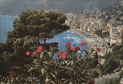 Alassio Panorama mit Strand Kat. 