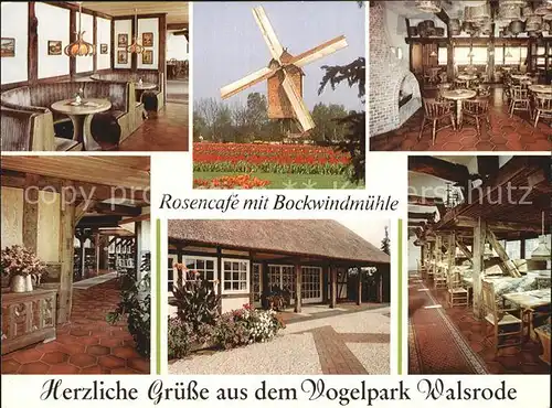 Walsrode Lueneburger Heide Rosencafe mit Bockwindmuehle Gastraeume Kat. Walsrode