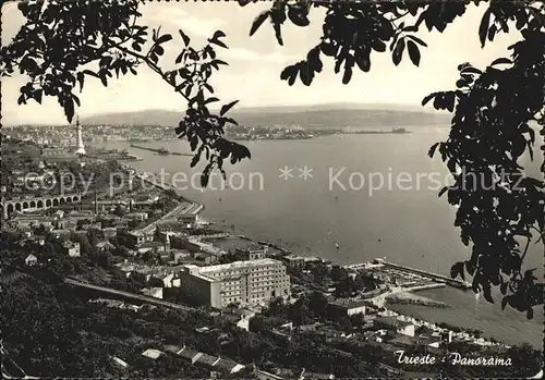 Trieste Panorama Kat. Trieste
