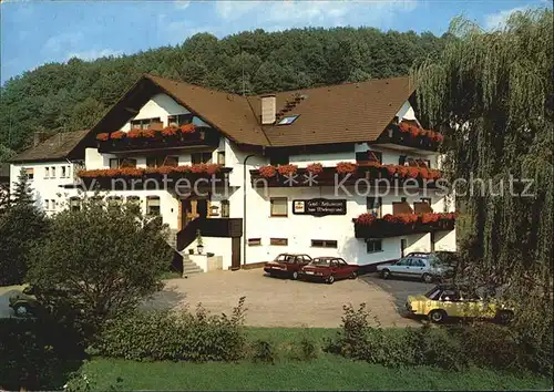 Heimbuchenthal Hotel Zum Wiesengrund Kat. Heimbuchenthal