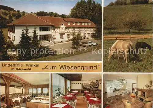 Winkel Odenwald Restaurant Cafe Pension Zum Wiesengrund Kat. Lindenfels