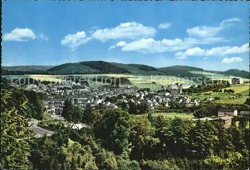 Meschede Panorama Kat. Arnsberg