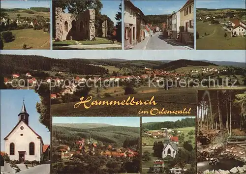 Hammelbach Kirche Ruine Panoramen Kat. Grasellenbach