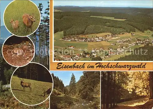 Eisenbach Schwarzwald Panorama  Kat. Eisenbach (Hochschwarzwald)
