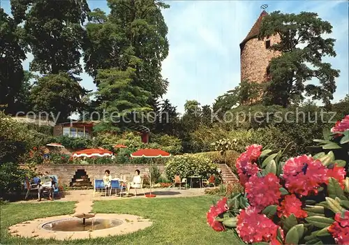 Weinheim Bergstrasse Ruhe Lesegarten Schlosspark Kat. Weinheim