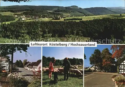 Kuestelberg Luftkurort Panorama Schafherde Kat. Medebach