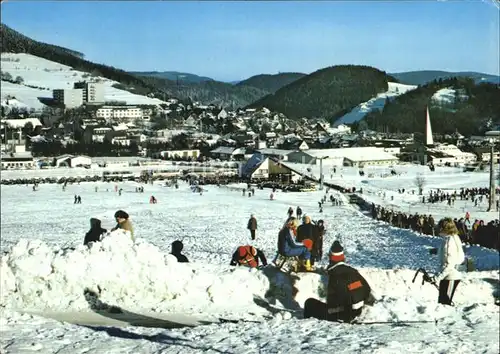 Willingen Sauerland Schlitten  Kat. Willingen (Upland)