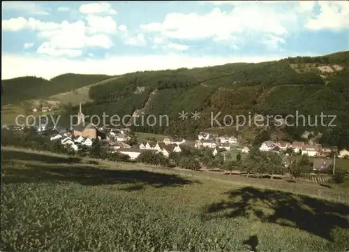 Oberharmersbach Panorama Kat. Oberharmersbach