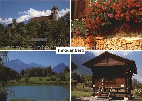 Ringgenberg am Brienzersee Holzschober Kat. Ringgenberg
