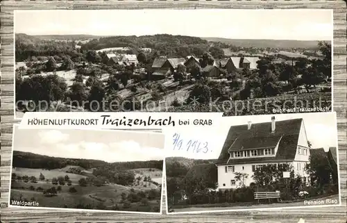 Trauzenbach Pension Rieg  Kat. Grosserlach