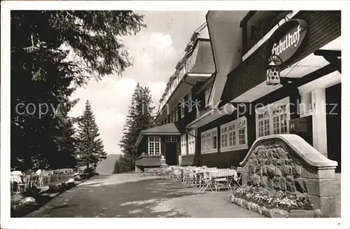 Feldberg Schwarzwald hotel Hebelhof  Kat. Feldberg (Schwarzwald)