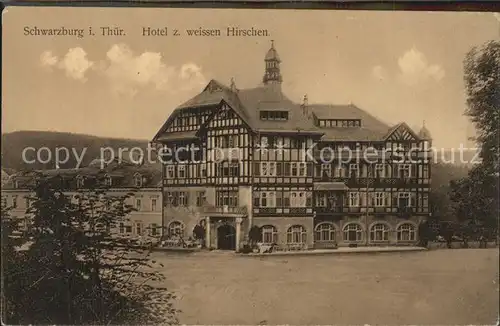 Schwarzburg Thueringer Wald Hotel zum Weissen Hirschen Kat. Schwarzburg